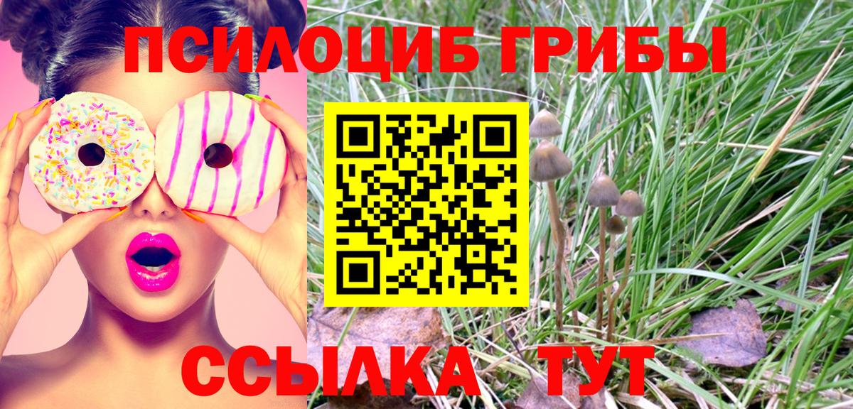 Псилоцибиновые грибы ЛСД Муравленко